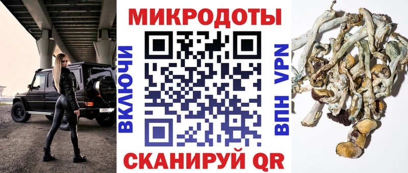 Купить где  Лермонтов  Псилоцибиновые грибы ЛСД 